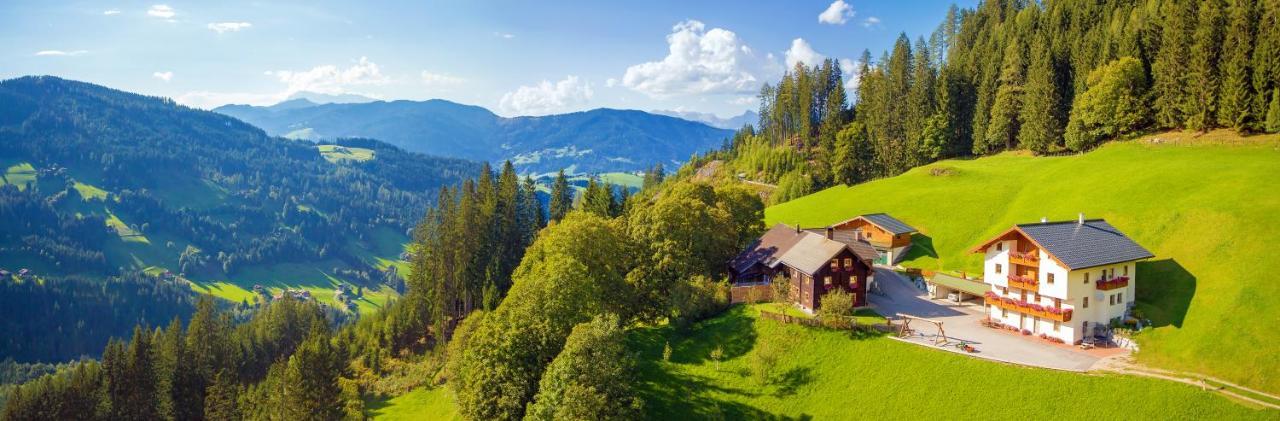 Вилла Grassbichlhof Альтенмаркт  Экстерьер фото